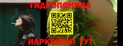 соль ск Кулебаки