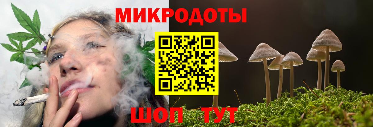Дзержинск  Псилоцибиновые грибы Cubensis  Вход с VPN  цена   Псилоцибиновые грибы мухоморы 