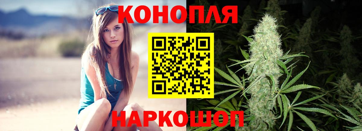 Конопля сатива Дзержинск